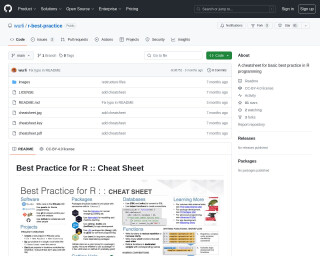Screenshot of A cheatsheet for basic best practice in R programming