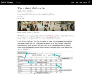 Screenshot of What is Takes to Tidy Census Data